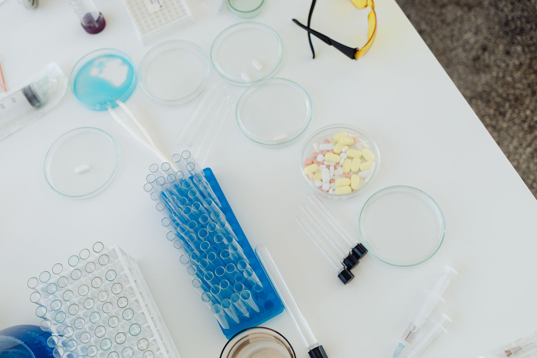 Creating a WordPress Staging Site for Safe Testing